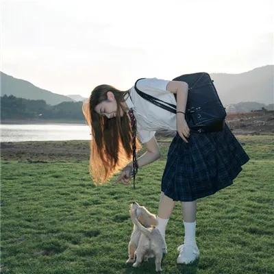 流氓督察